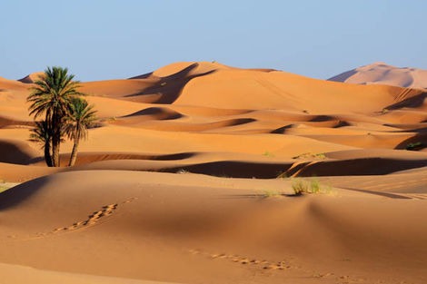Circuit Insolite Oasis, Dunes et Désert