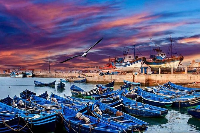 Excursions Essaouira